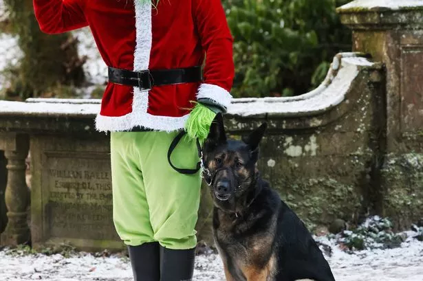 ‘I dress as the Grinch when I take my dog for Christmas walkies’