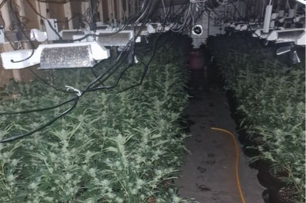 Huge £4 MILLION cannabis farm uncovered in Blackpool industrial unit