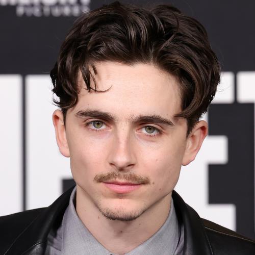 Timothée Chalamet vows ‘never’ to release music