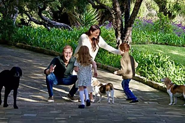 Prince Harry and Meghan Markle release their 2024 Christmas card featuring rare pic of Lilibet and Archie