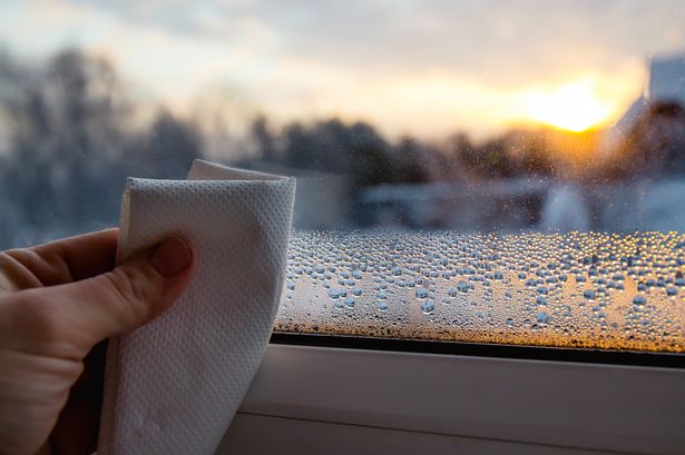 ‘I tried three hacks to banish condensation – 83p ingredient worked wonders’