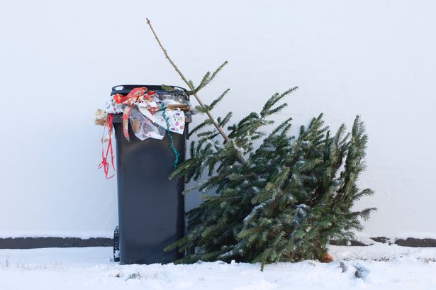 Everything you can and can’t recycle at Christmas or risk being fined by council