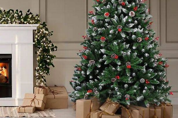 Here’s exactly how to pick the perfect Christmas tree – and make it last the entire season