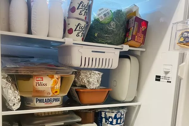 I tried a smart fridge device that can keep your groceries fresher and save money