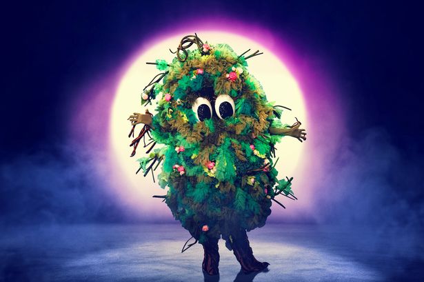 Masked Singer fans ‘positive’ Bush is a popstar – after spotting major clue