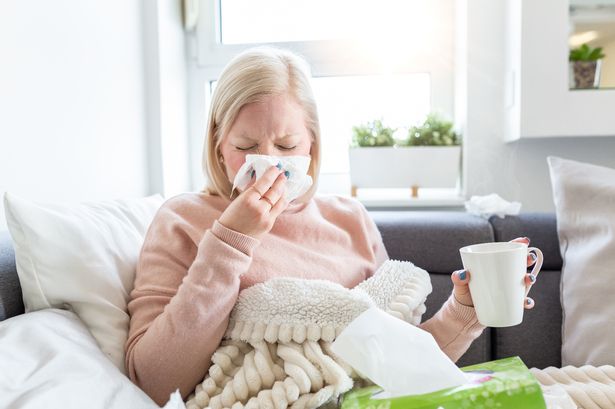 How to boost your immune system as temperatures plummet this weekend