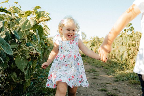 Government ‘was warned of low antibiotics stocks’ a week before Lancashire toddler’s tragic death