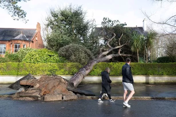 Storm Eowyn winds drop but Met Office warns of rain and floods ahead