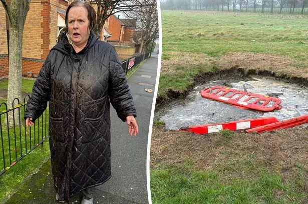 Disabled gran feared she would drown after falling into ‘sinkhole’ while saving dog