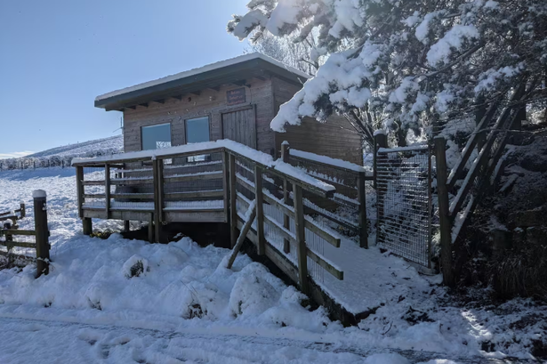 Hut with no TV or running water is a ‘perfect getaway from city life’