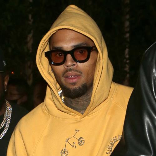 Chris Brown sues Warner Bros for $500 million