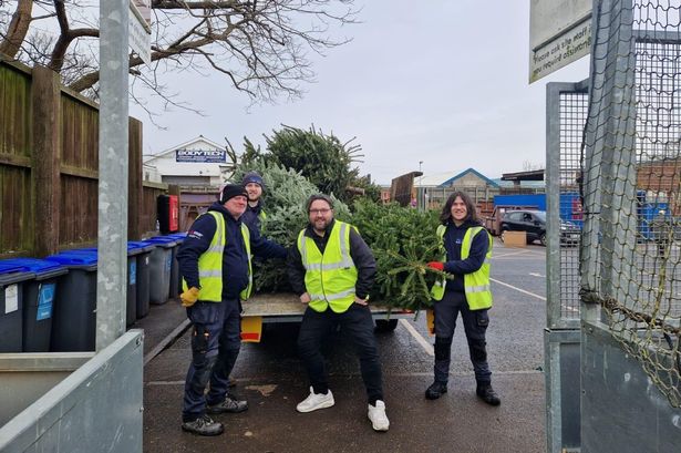 Christmas tree collections raise record-breaking amount for Lancs hospice