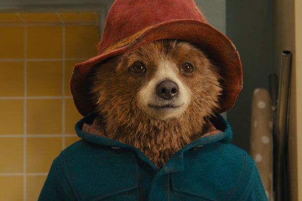 Paddington 4’s future uncertain despite Paddington in Peru’s box office success