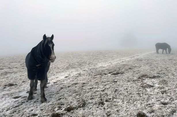 Met Office says when parts of England and Scotland will see snow on Sunday and Monday