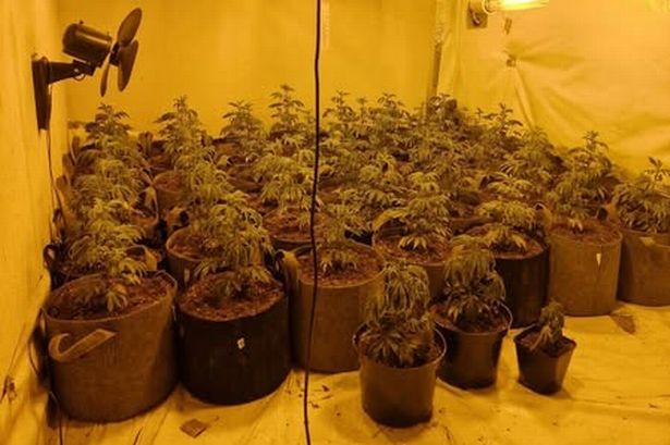 Police discover cannabis farm after snow-free roof spotted at Blackburn home