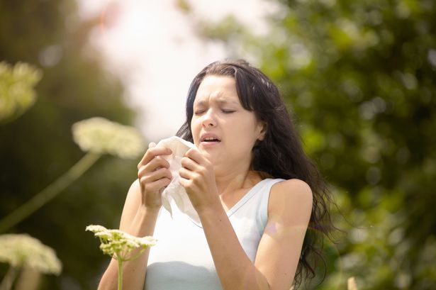 One small thing can help alleviate hay fever symptoms this summer