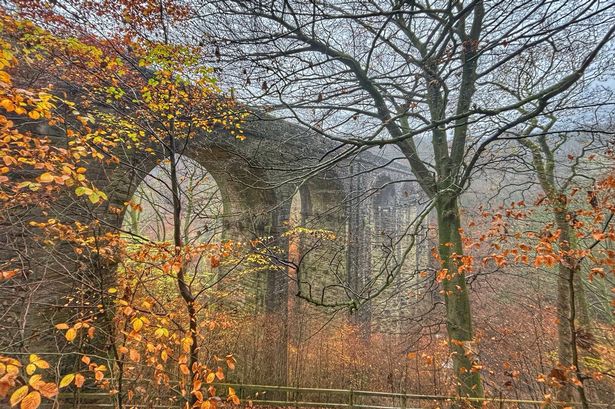 Teenager slashed with machete at beauty spot by gang who tried to steal his bike