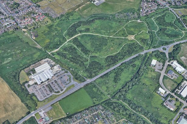 Police hunt dog owner after pensioner bitten by German Shepherd in woods