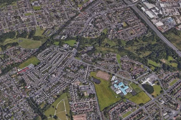 Police uncover large cannabis farm at industrial unit after reports from public