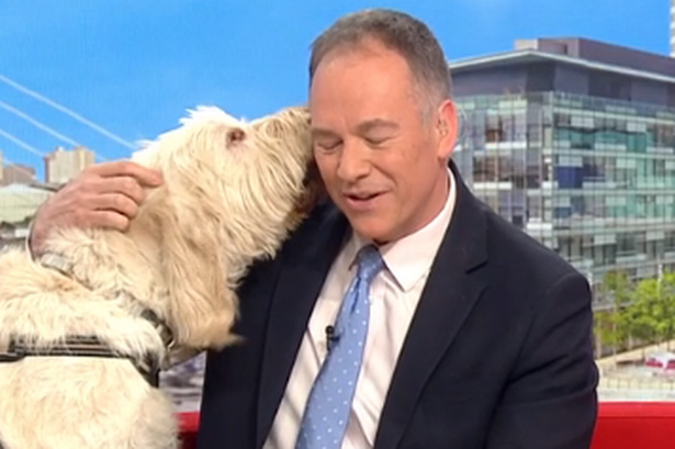 BBC Breakfast host left speechless after dog jumps on co-star ‘I’m getting eaten’