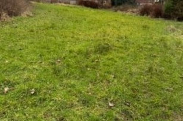 Council clears ground for custom-built home next to nursery