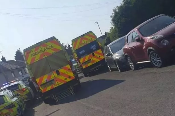 Horror as two boys, 2 and 3, suffer serious injuries in dog attack