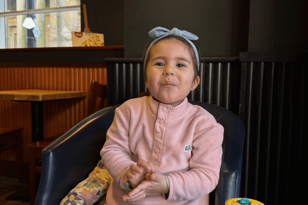 ‘Driver who caused Lulu’s devastating death should never have been behind the wheel’