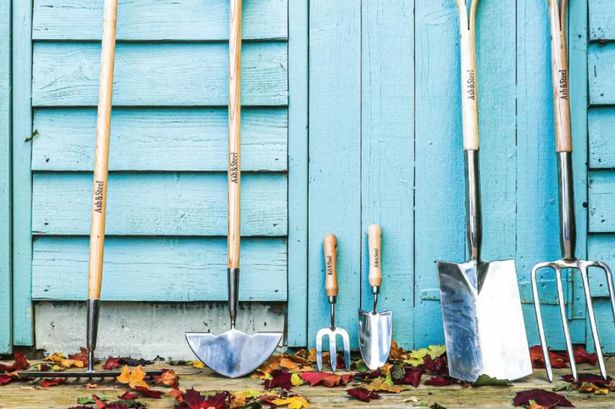 Gardening essential 7-piece heavy-duty tool set worth £150 plummets to under £100 in sale
