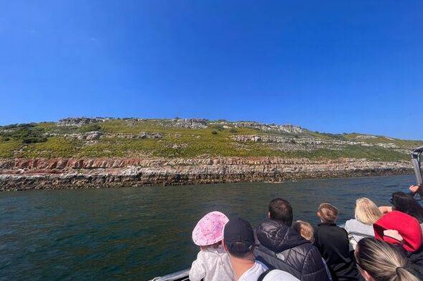 Man visits UK seaside town with castle and puffin colony – but there’s a ‘hiccup’