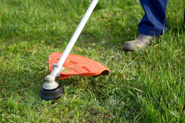 ‘Easy-to-use’ cordless strimmer that’s ‘perfect for tackling awkward areas in garden’ has 35% off