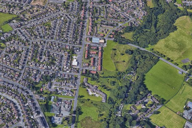 Boy, 4, mauled in face on busy street as two dogs seized by police