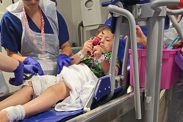 ‘My son could have lost his life’ – lad, 4, savaged by 2 dogs while playing at neighbour’s home