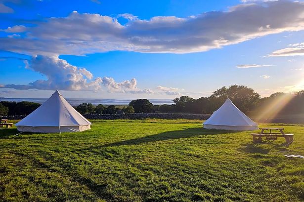 Camping and glamping site wins gold award for ‘perfect score’