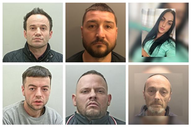 They thought they could outwit the police – now these dopey criminals are spending summer behind bars