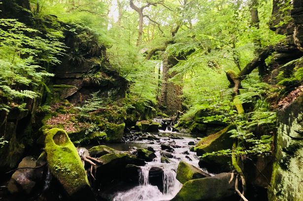 The stunning woodland walk with waterfalls and Victorian-themed tea room