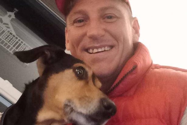 ‘False widow spider bit me while I slept – I spent three days in hospital’