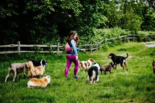 Dog expert claims certain breeds will match your personality – which one are you?