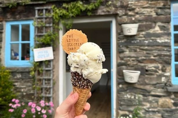 Independent ice cream parlour named as one of best in country – and it’s dog-friendly too