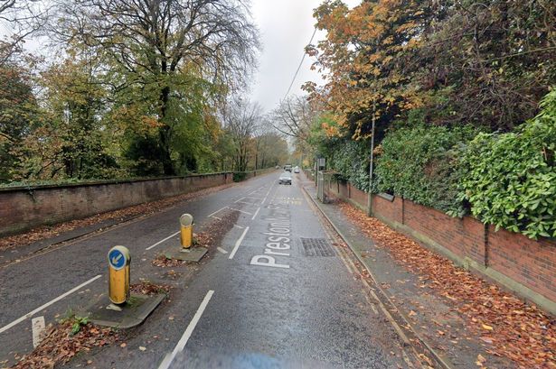 Road closure after fallen tree pulls electrical cables causing chaos