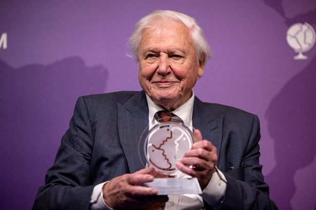 New bank holiday every year to honour David Attenborough update as momentum builds