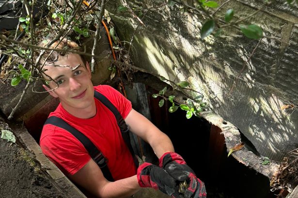 Firefighter to the rescue after tiny ducklings fall into drain