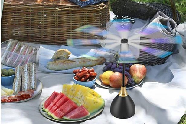 ‘Not one fly came near food’ thanks to this innovative fly repeller that is ‘a must for summer’