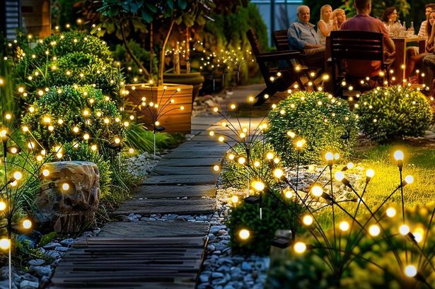 Create a ‘magical atmosphere’ in your garden this summer with these solar-powered firefly lights