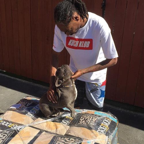 Snoop Dogg mourns death of beloved French Bulldog