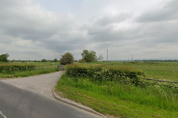 Farmers field housing sheep to be covered in solar panels