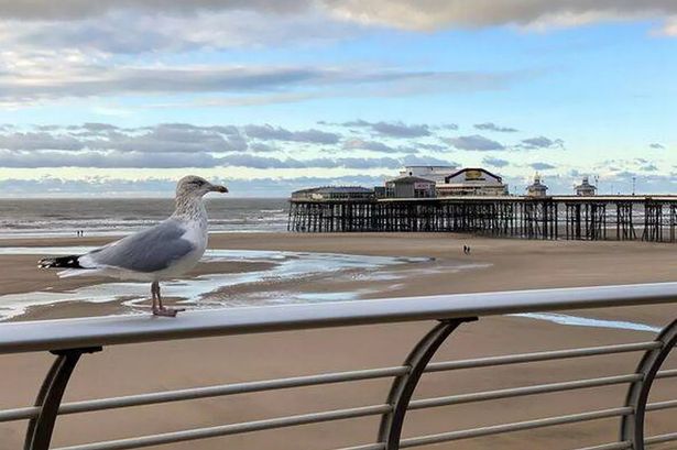 Lesser-known rule on Lancashire beach could land you with £2,500 fine if caught
