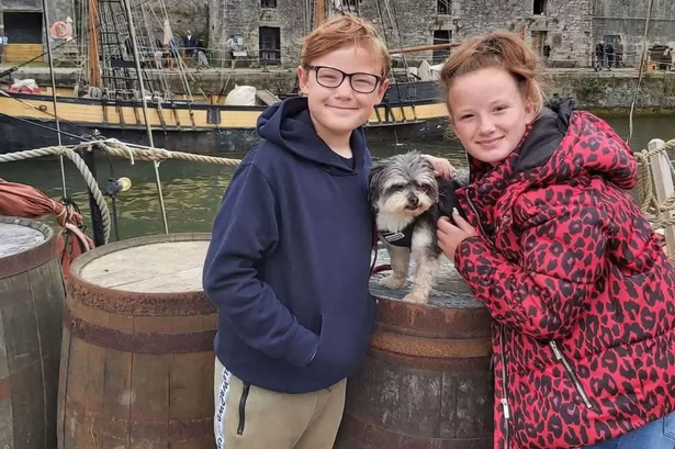 Mum calls for dogs on leads rule after pet’s tragic death