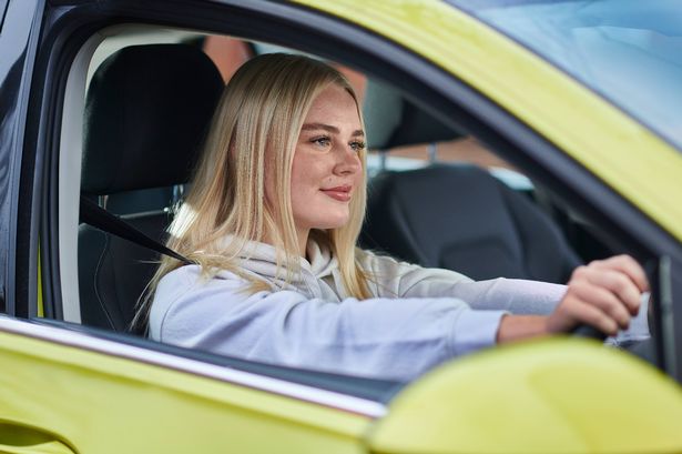 Important advice issued to drivers who spot one animal in the road