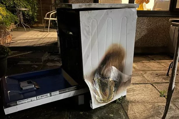 ‘Dishwashers, washing machines and tumble dryers can and do catch fire’