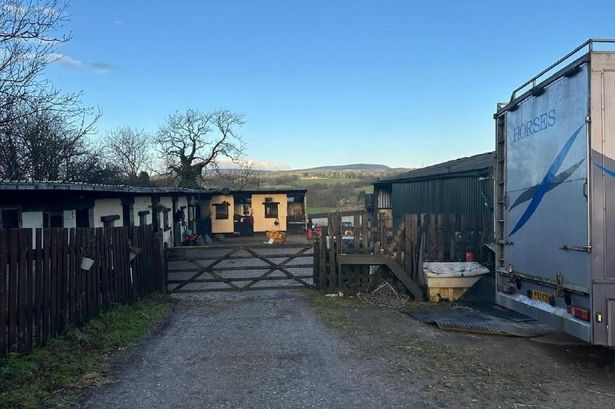 Horse riding venue with Olympic sized arena could be demolished for houses